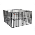 Cages Pour Chien